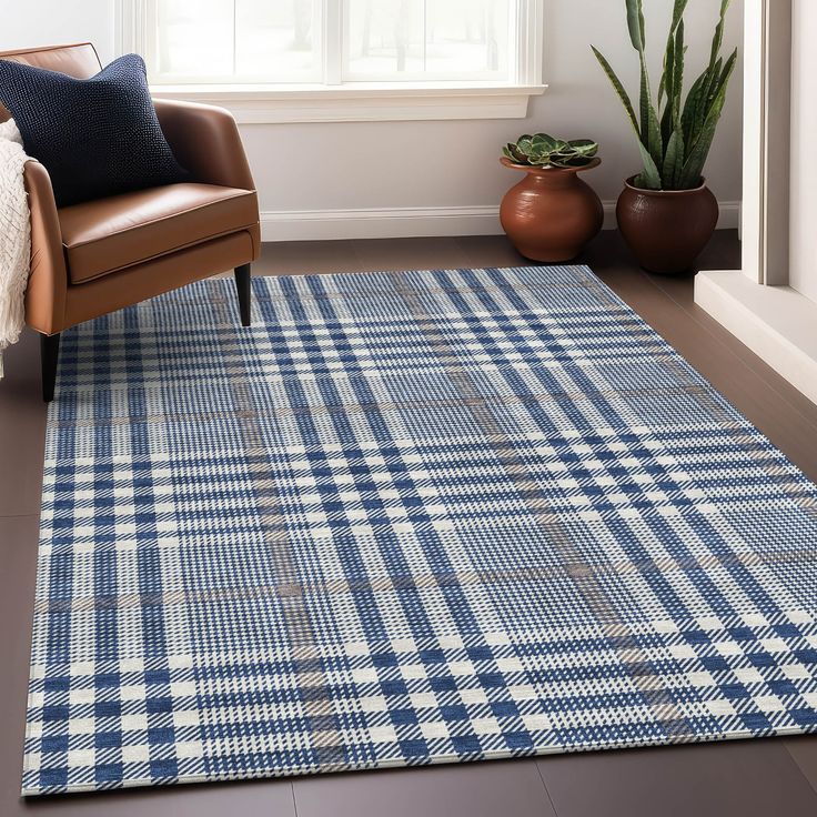 a blue and white checkered rug in front of a window with potted plants