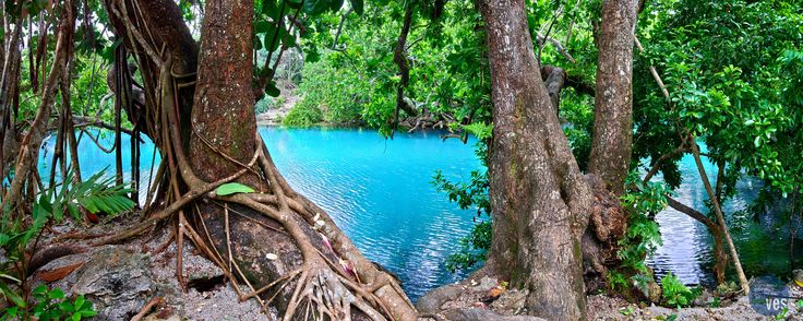 a river surrounded by trees with blue water in the background