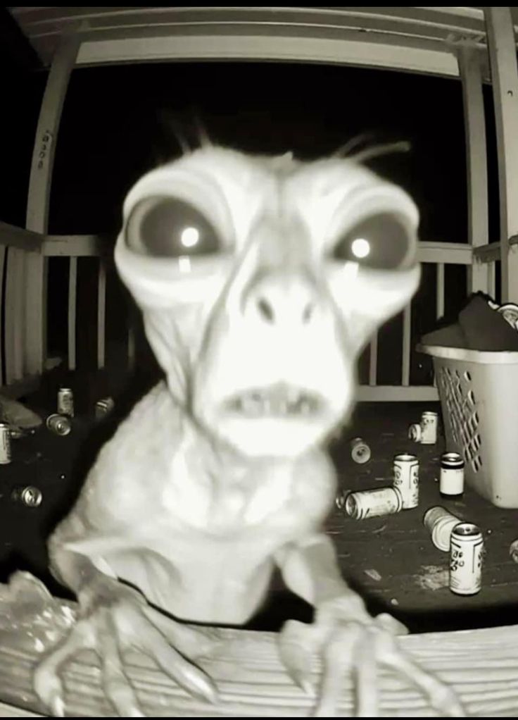 an alien is staring at the camera in this black and white photo