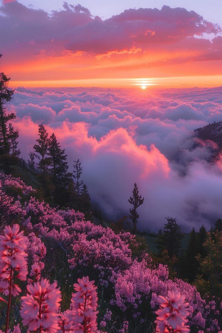 the sun is setting over some pink flowers and trees on top of a hill with clouds