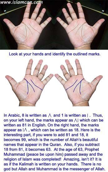 two hands are shown with different lines on the palm and one hand is drawn in blue