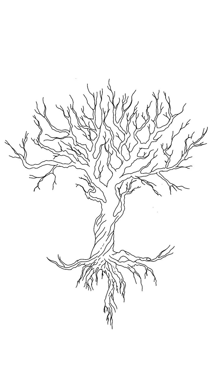 a black and white drawing of a tree