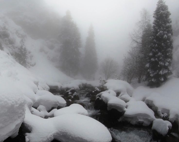 snow covered rocks and water in a stream surrounded by trees on a foggy day