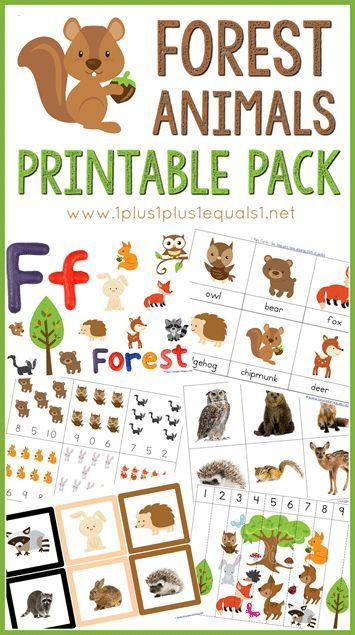 the forest animals printable pack