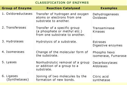 a table with two different types of substances and the names of each element in it