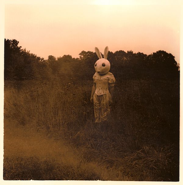 an old photo of a rabbit in the middle of a field