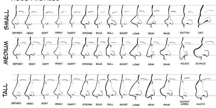 an image of nose profiles chart with the names and description for each individual's nose