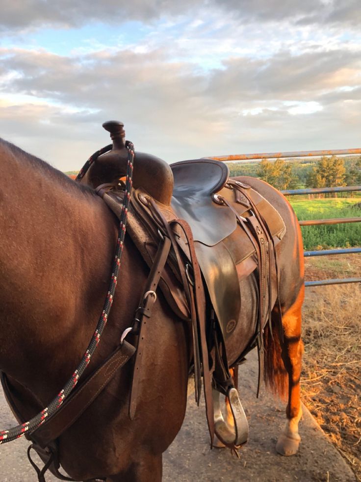 a brown horse standing on top of a dirt road