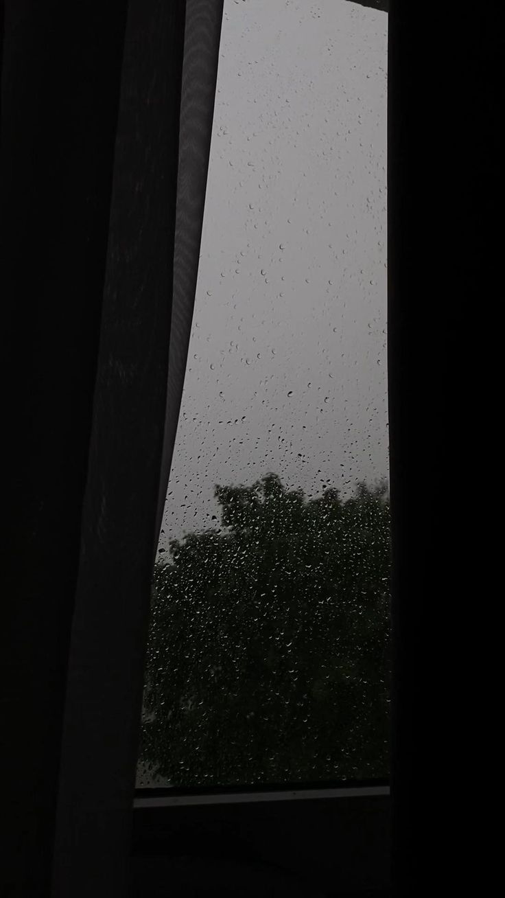 rain drops on the window as seen from inside a building in front of some trees