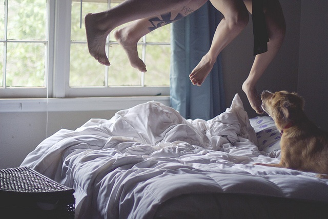 a person jumping in the air over a bed next to a dog