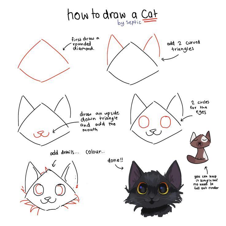 an image of how to draw a cat with different facial expressions on it's face