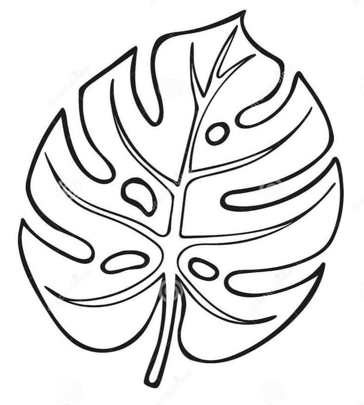 a black and white drawing of a leaf