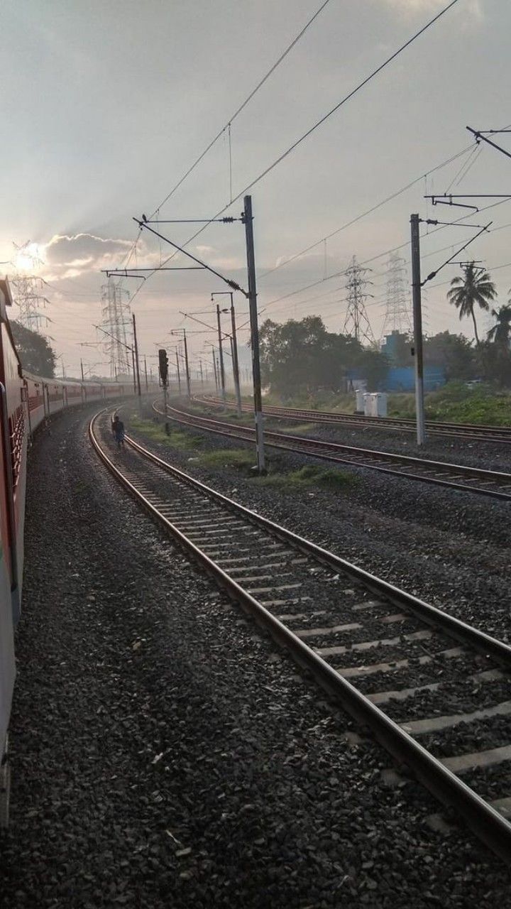 an orange and white train traveling down train tracks next to power lines with palm trees in the background