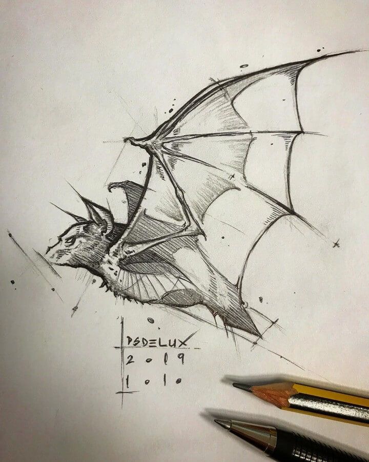 a pencil drawing of a bat flying in the sky