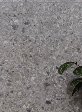 a potted plant sitting on top of a cement floor