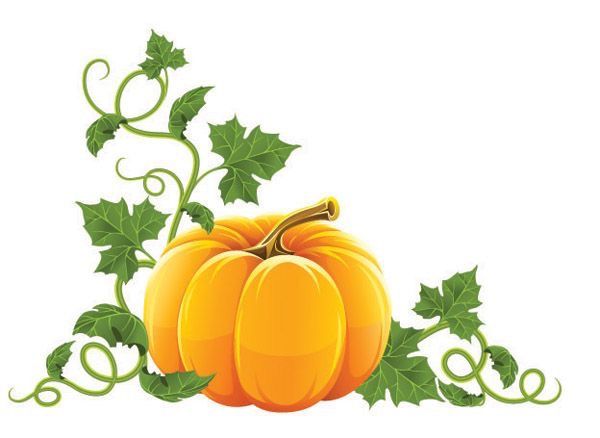 an orange pumpkin with green leaves and vines on a white background stock photo - 9197