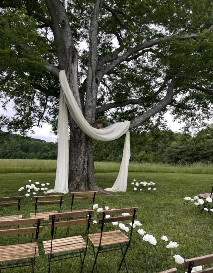 an outdoor ceremony setup with wooden benches and white draping draped over the trees