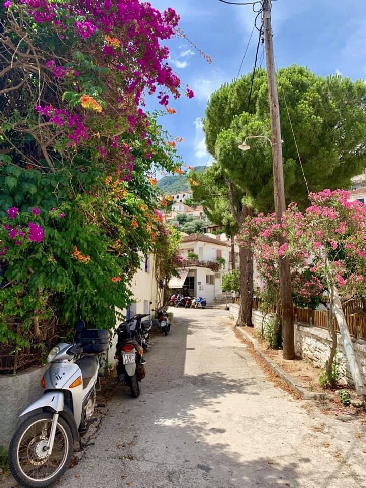 a motor bike parked on the side of a road next to trees and flowers in bloom