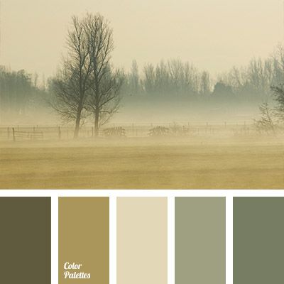 the color palette is neutral and has trees in the distance, with fog on the ground