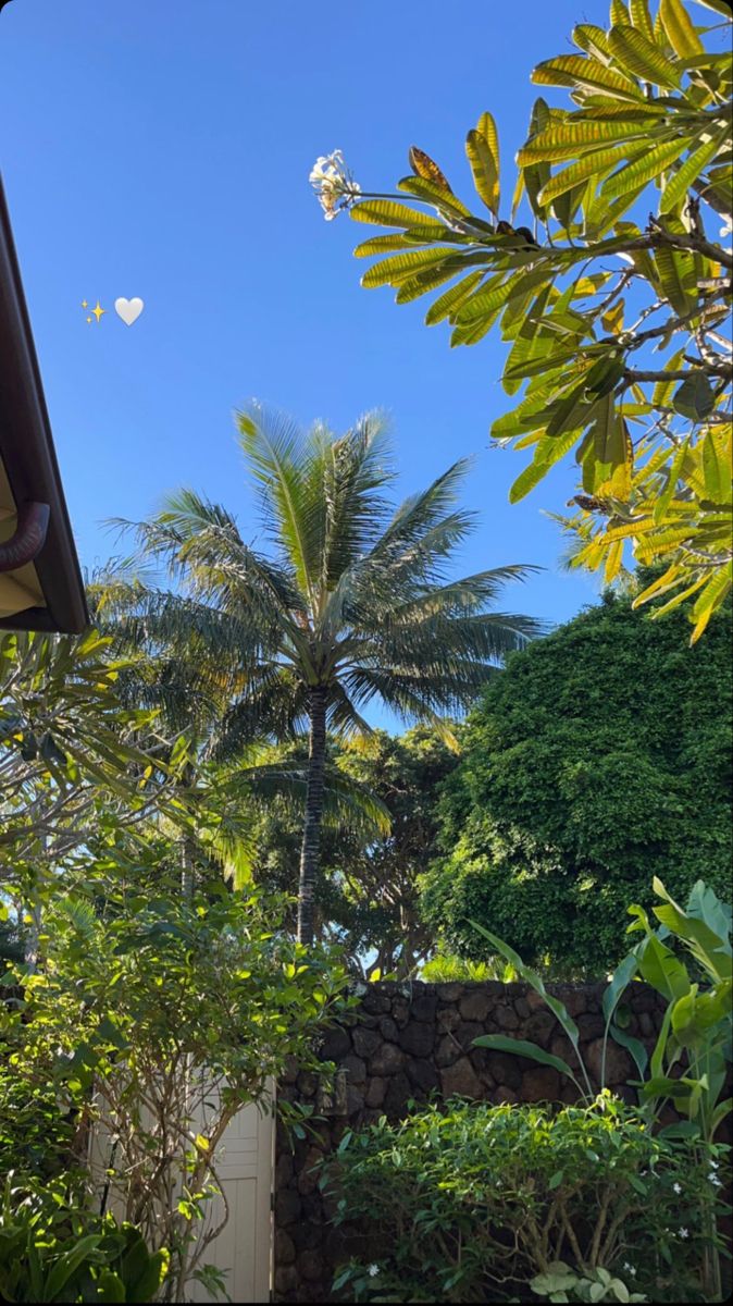 the view from inside a house looking out at trees and bushes in front of it