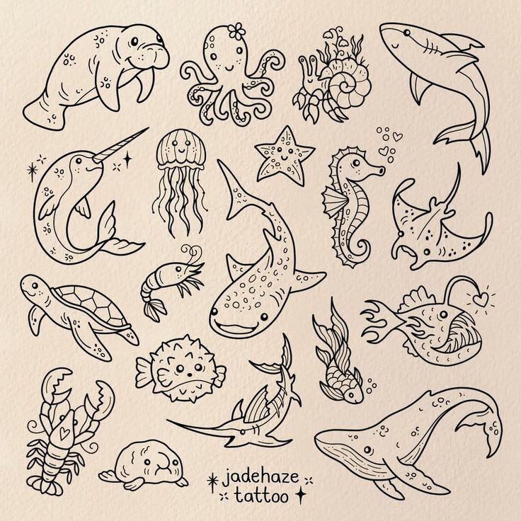 an ink drawing of various sea animals