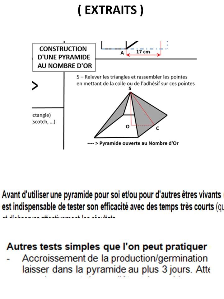 the instructions for how to make an origami paper airplane in english and french