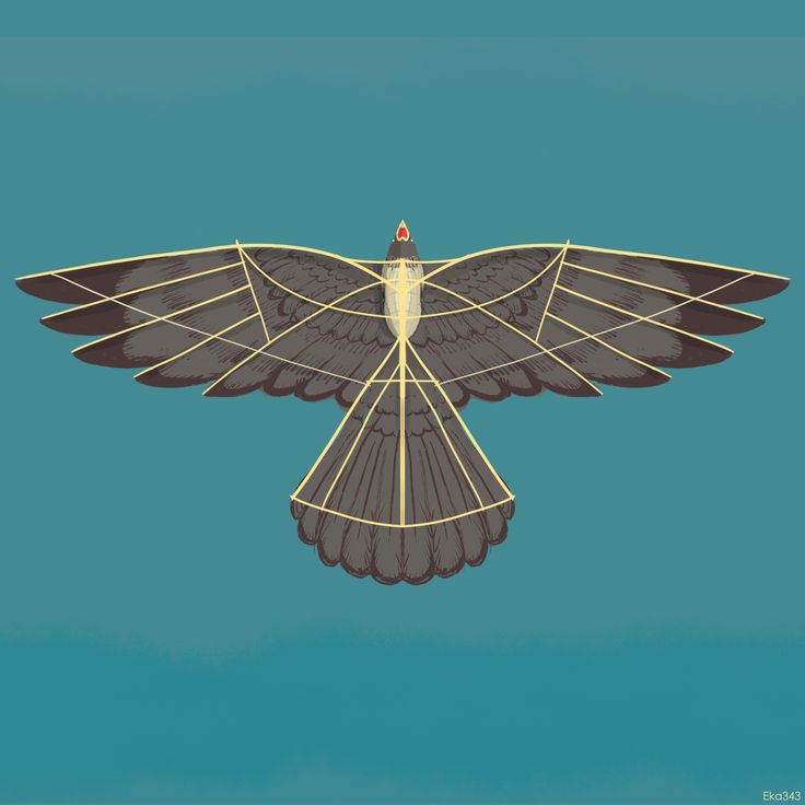 an illustration of a bird flying in the sky