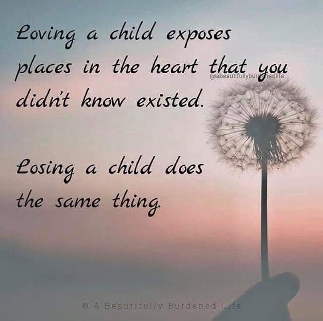 a dandelion with the words loving a child exposes places in the heart that you didn't know excited