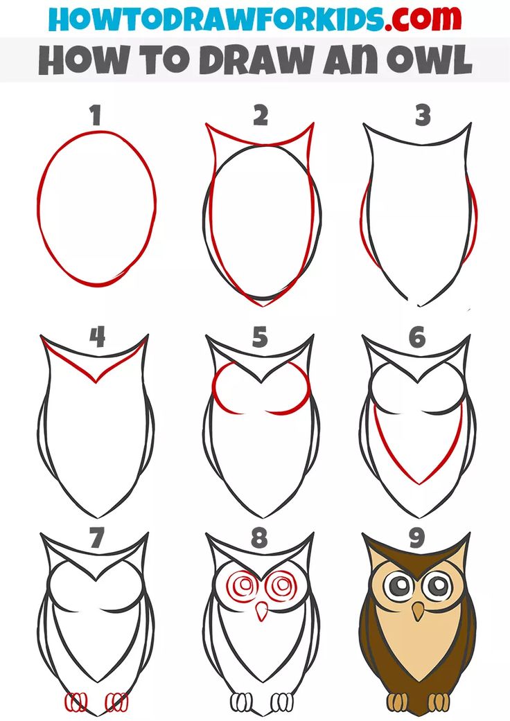 how to draw an owl for kids with easy steps step by step instructions and pictures