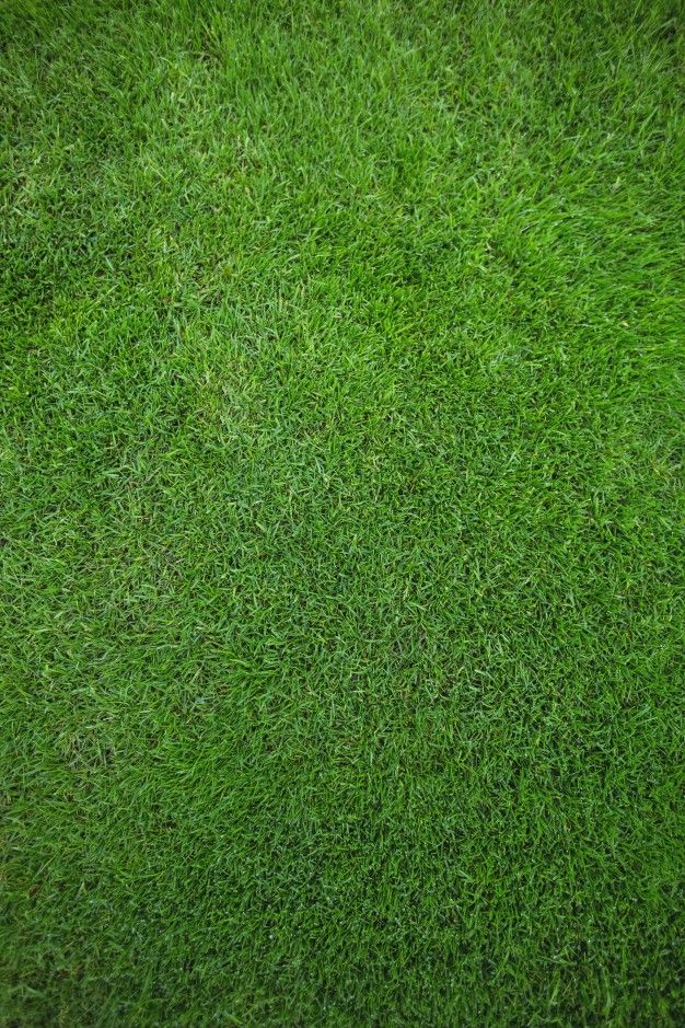 an overhead view of green grass