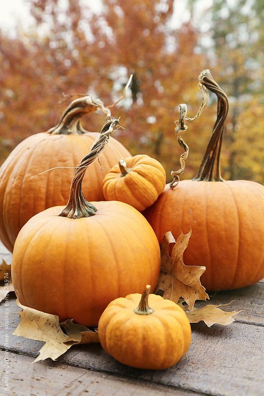 several pumpkins sitting on top of a wooden table