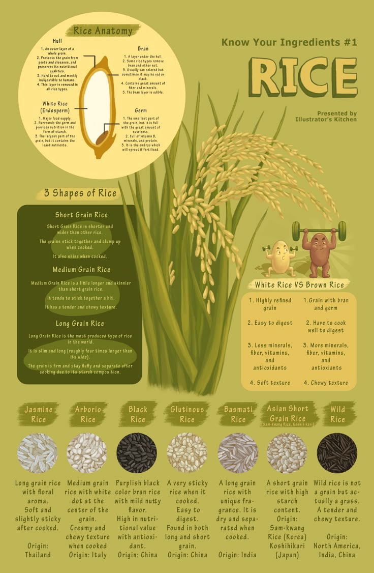 rice info sheet with instructions on how to grow it and what to use it in the kitchen