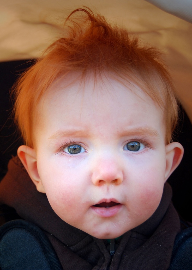 a young child with blue eyes sitting in a stroller looking at the camera and to his left