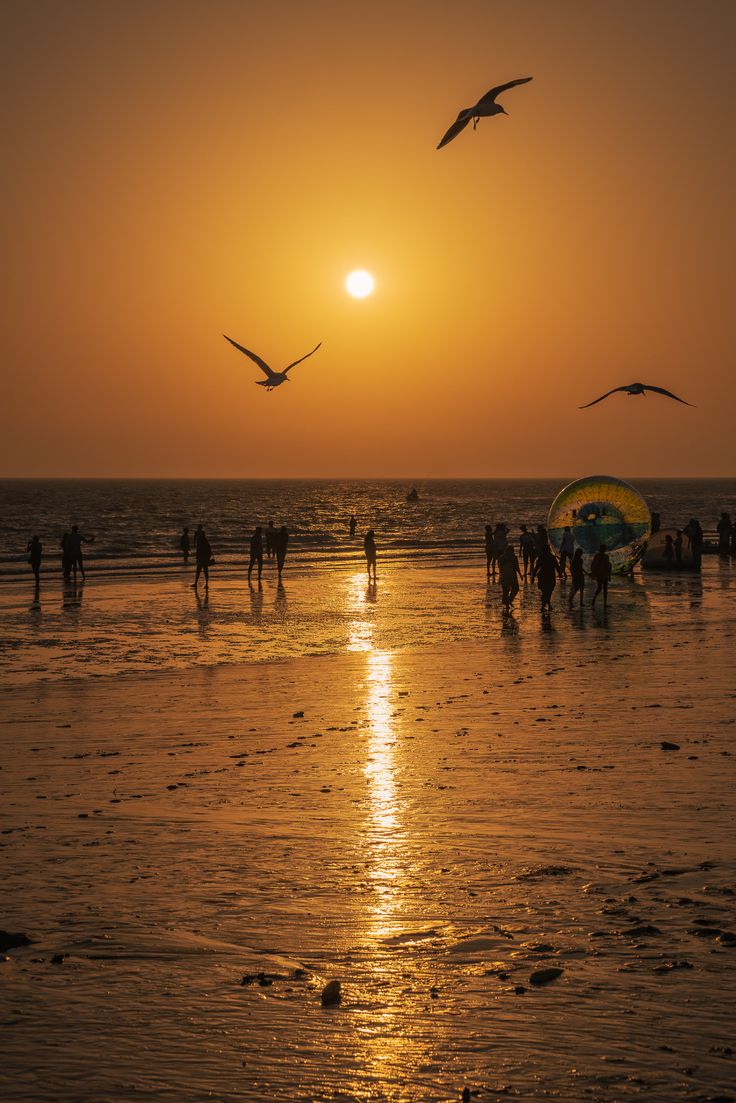 birds flying over the water at sunset with people on the beach in the foreground