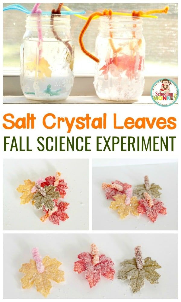 salt crystal leaves fall science experiment with text overlay that says salt crystal leaves fall science experiment