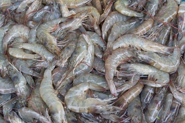 a bunch of shrimp that are laying on top of each other