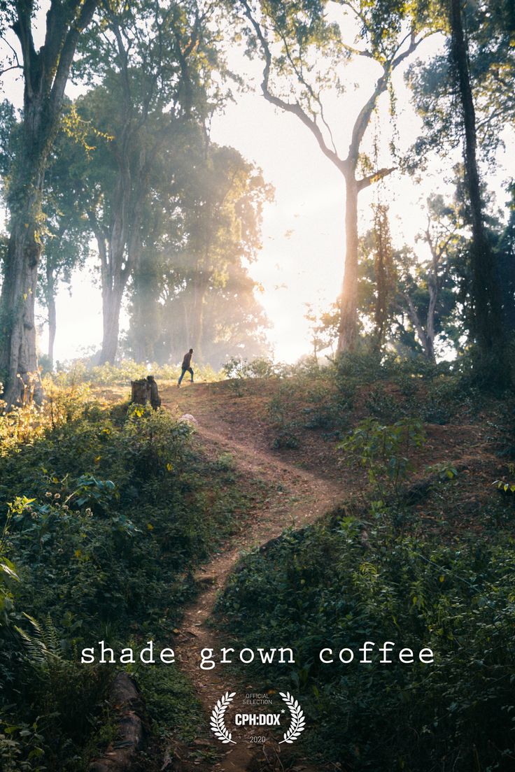 a person walking down a dirt road in the woods with trees and grass on both sides