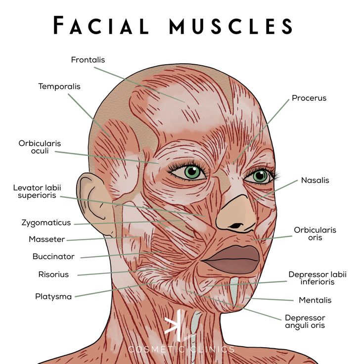 Skin Anatomy Drawing, Esthetician Anatomy, Cosmetic Nurse Injector, Aesthetic Injector Instagram, Cosmetic Injectables Aesthetic, Cosmetic Dermatology Aesthetic, Facial Anatomy For Injectors, Cosmetic Nurse Aesthetic, Esthetics Photos