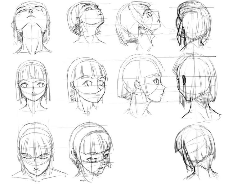 sketches of the head and shoulders of an anime character