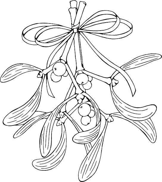 a branch with berries hanging from it's leaves and the stems are drawn in black ink