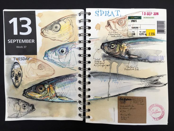 an open spiral notebook with drawings of fish and words on the cover that read 13 sepember