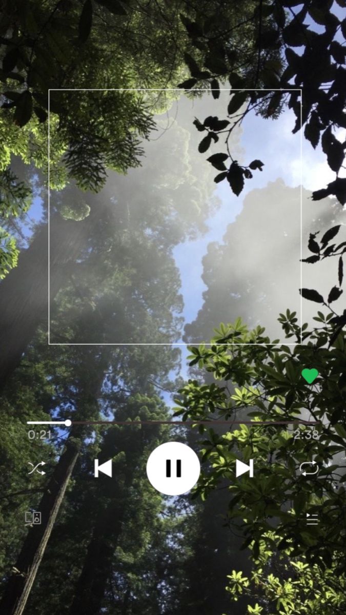 an image of the sky and trees taken from below, with audio player buttons highlighted