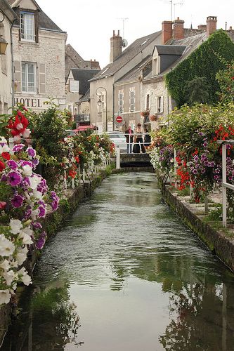 a river running through a small town with lots of flowers