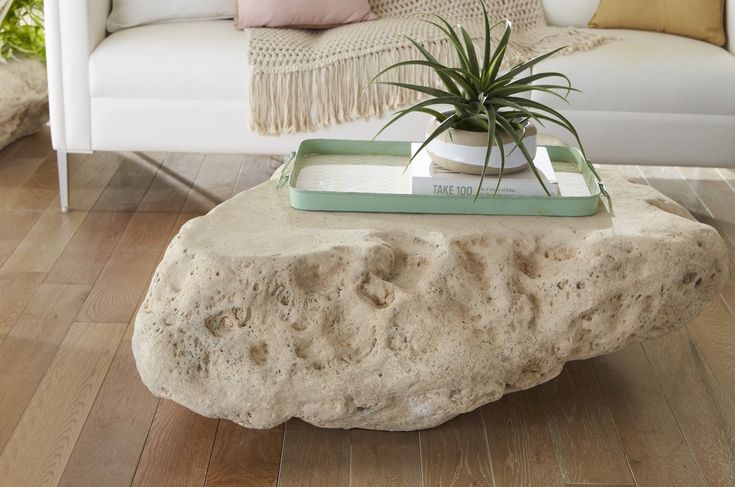 a living room with a couch, table and air plant on top of the coffee table