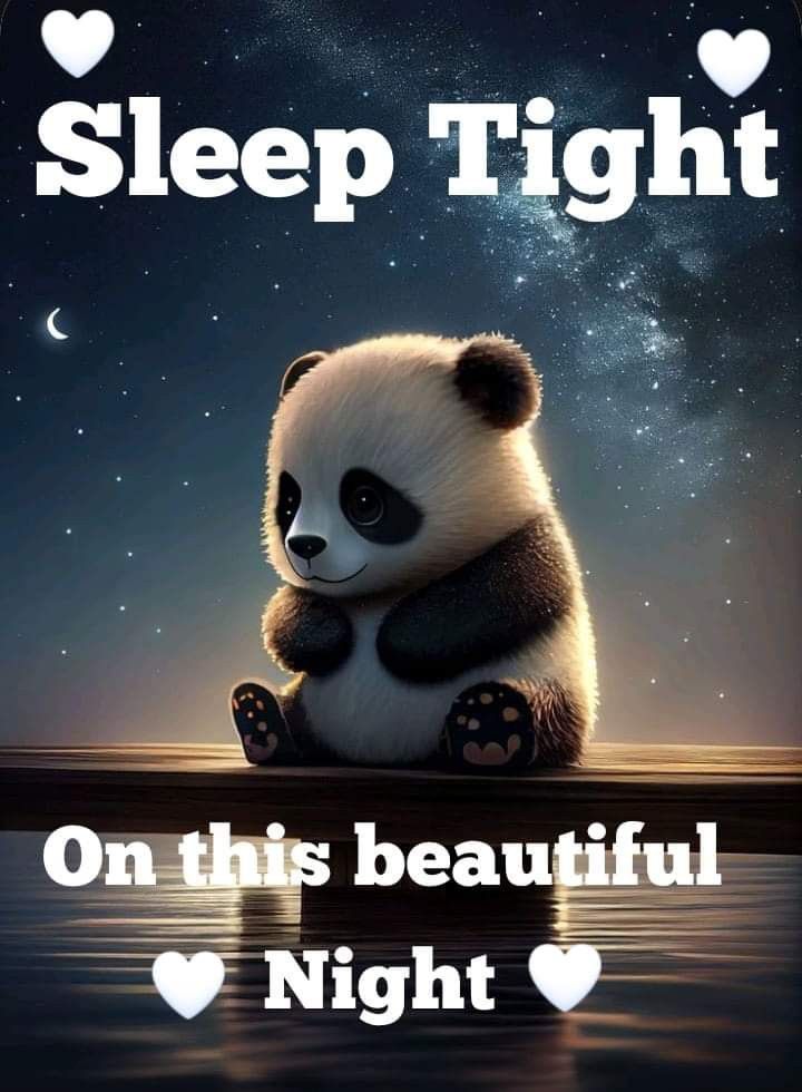 a panda bear sitting on top of a body of water under a sky filled with stars