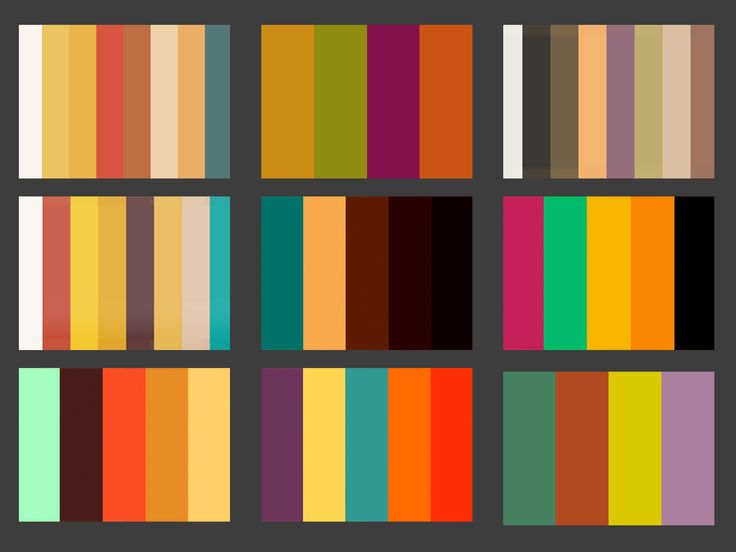 an image of color swatches in different sizes and colors, including oranges, yellows