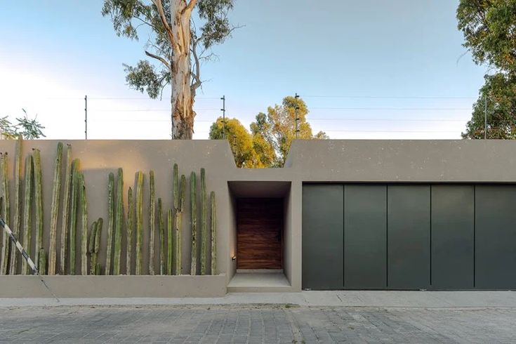 a house with cactus plants on the side and a tree in the back ground behind it