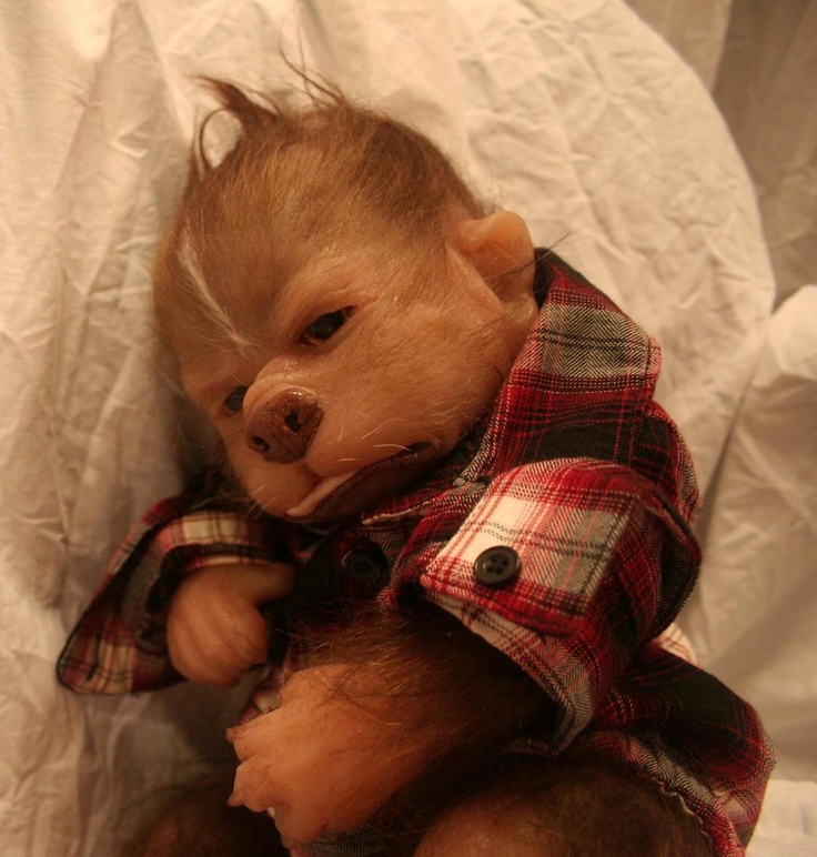 two stuffed animals are sitting next to each other on a white sheeted surface, one is wearing a plaid shirt and the other is holding a teddy bear's head