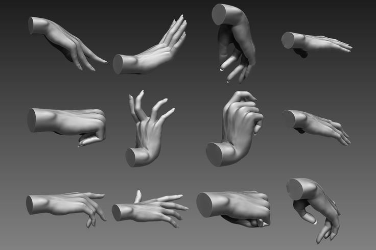 an image of hands and fingers in various poses