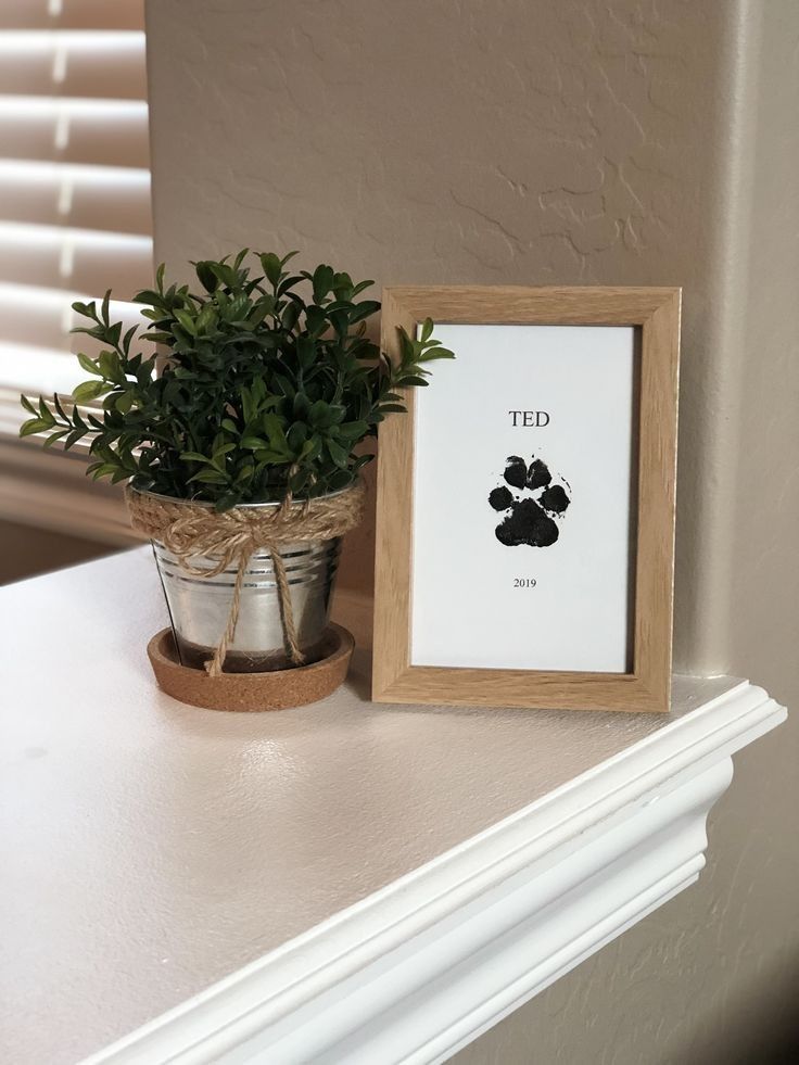 a potted plant sitting on top of a white mantle next to a framed print